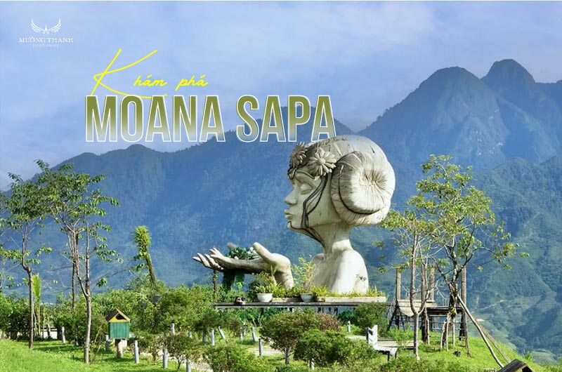 images/news/2025/10/original/moana-sapa_1759305536.jpg