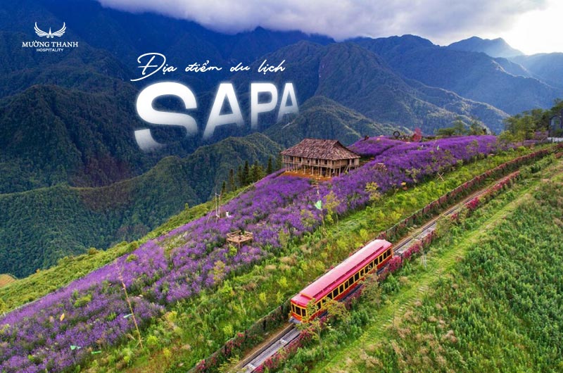 images/news/2025/11/original/dia-diem-du-lich-sapa_1757305579_1762851054.jpg