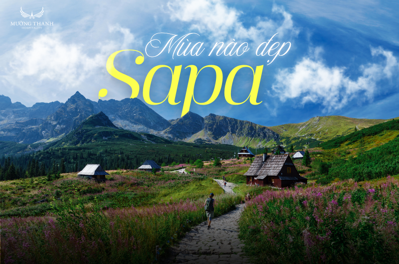 images/news/2025/12/original/sapa-mua-nao-dep-nhat_1764748376.png